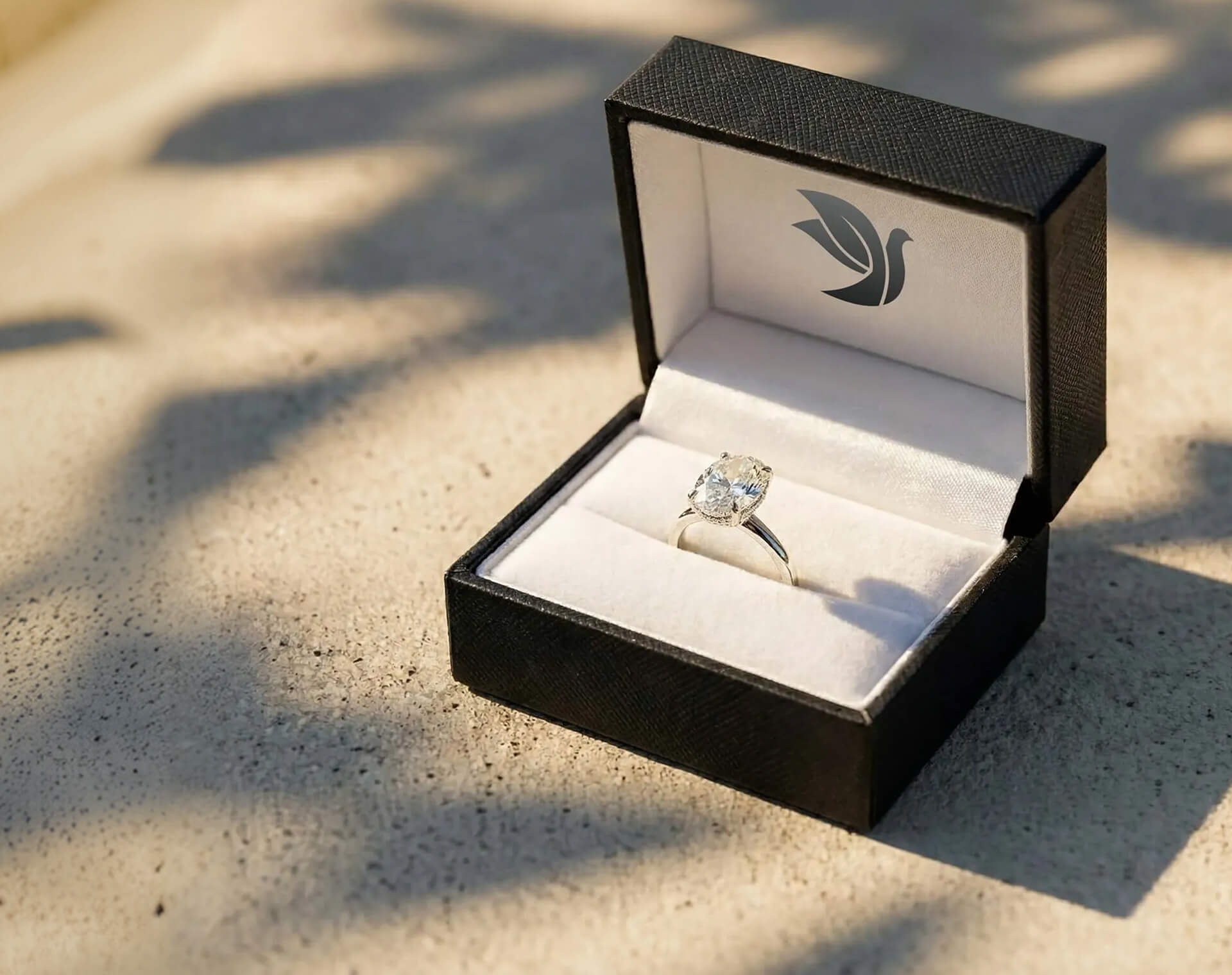 Celebrate Valentine's Day